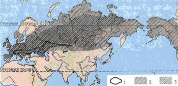 Ареалы 1 - эласмотерия, 2 - мамонта, 3 - шерстистого носорога